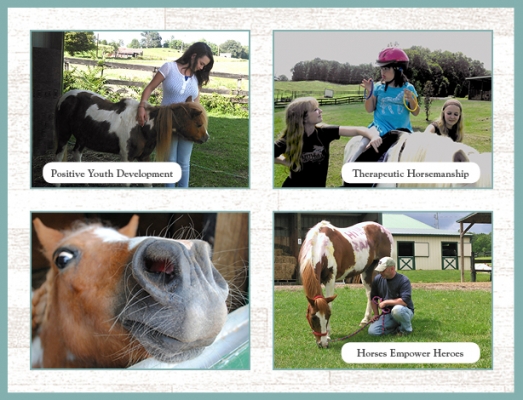 Small Miracles Therapeutic Equestrian Center, Inc.